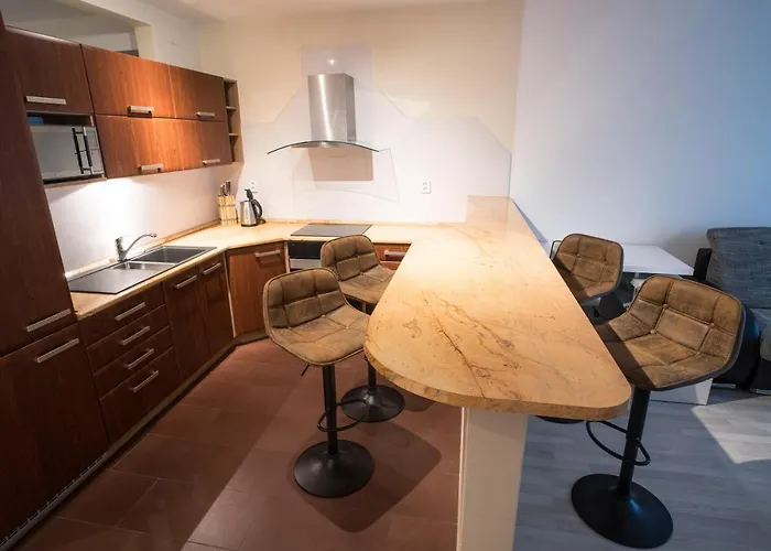 Vodni With Parking ブルノ