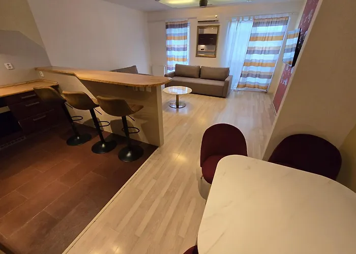 Vodni With Parking 公寓 布尔诺